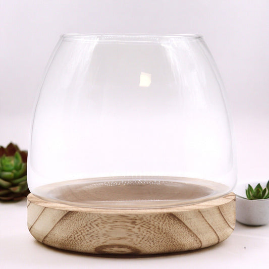 Medium glass terrarium with a natural tung wood base.