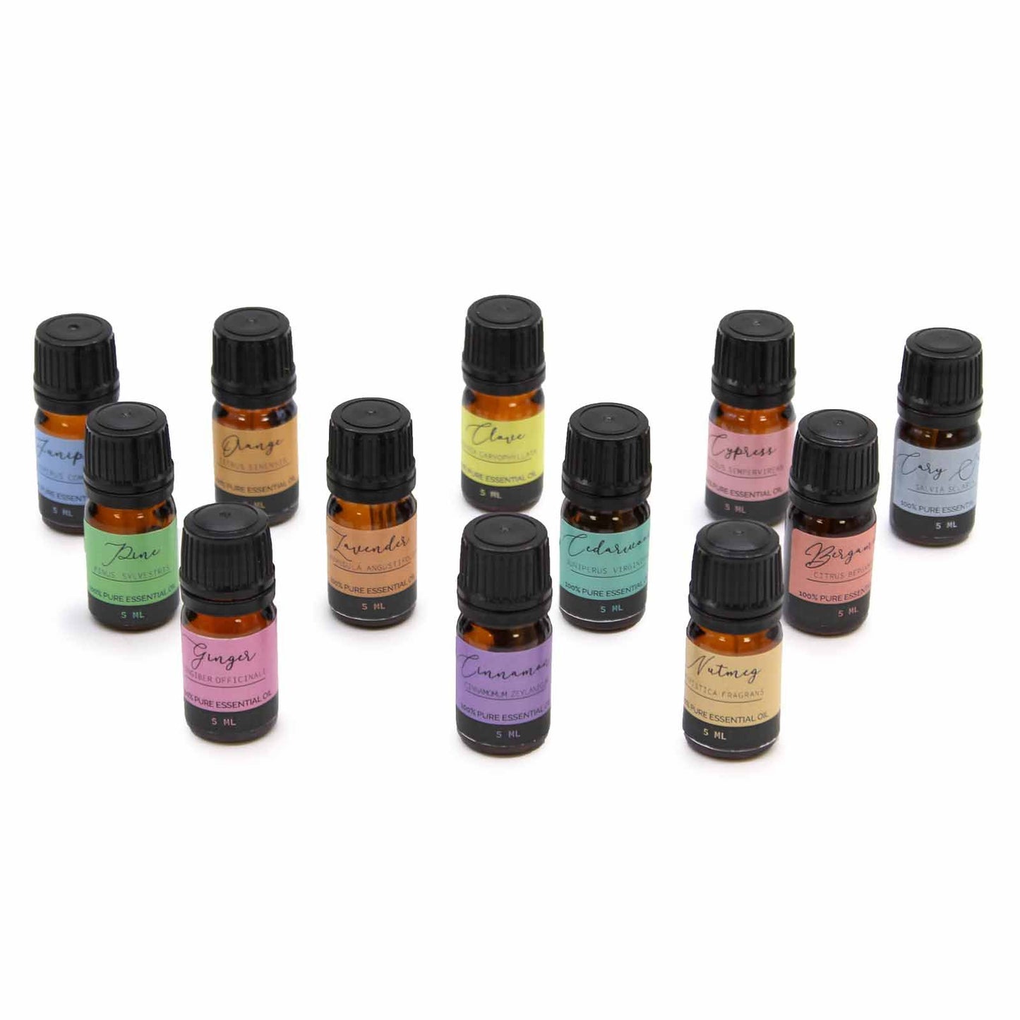 Aromatherapie ätherische Öle in 12 kleinen Flaschen mit Etiketten.