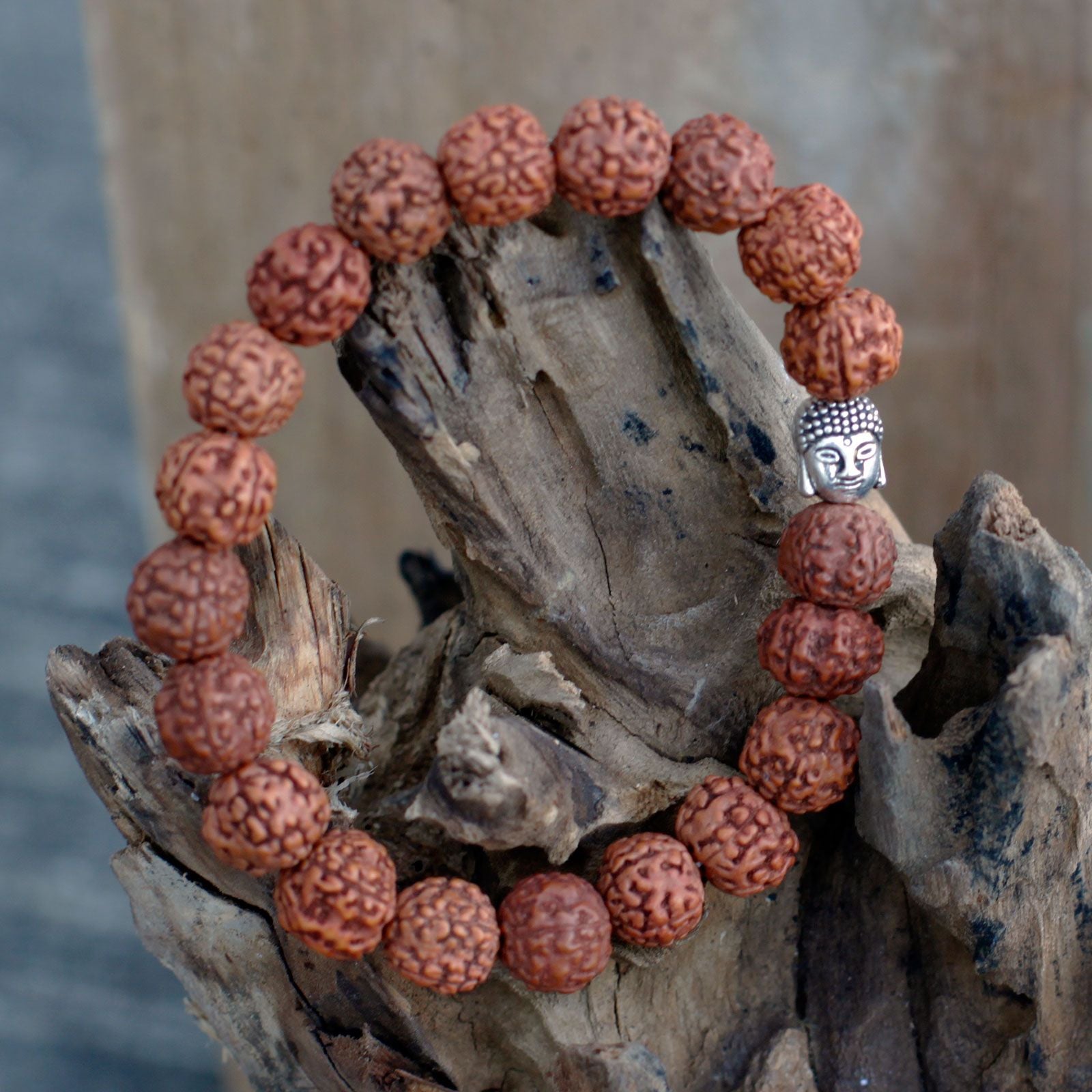 Rudraksha bangle mala with a silver Buddha head charm.