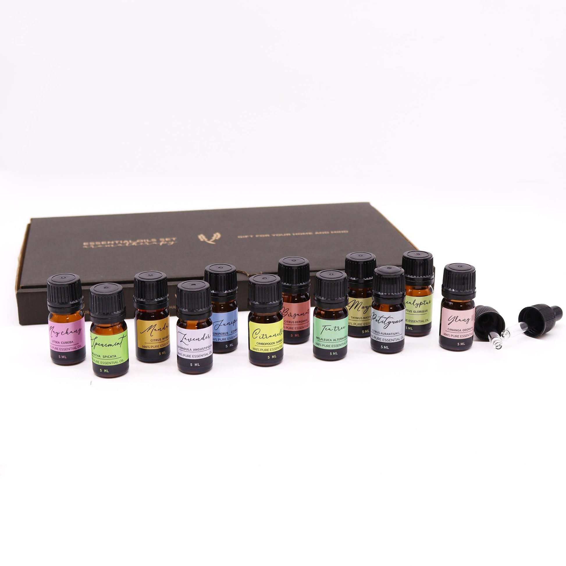 Aromatherapie ätherische Öle Frühlings-Set mit 12 × 5 ml Fläschchen und Pipetten.