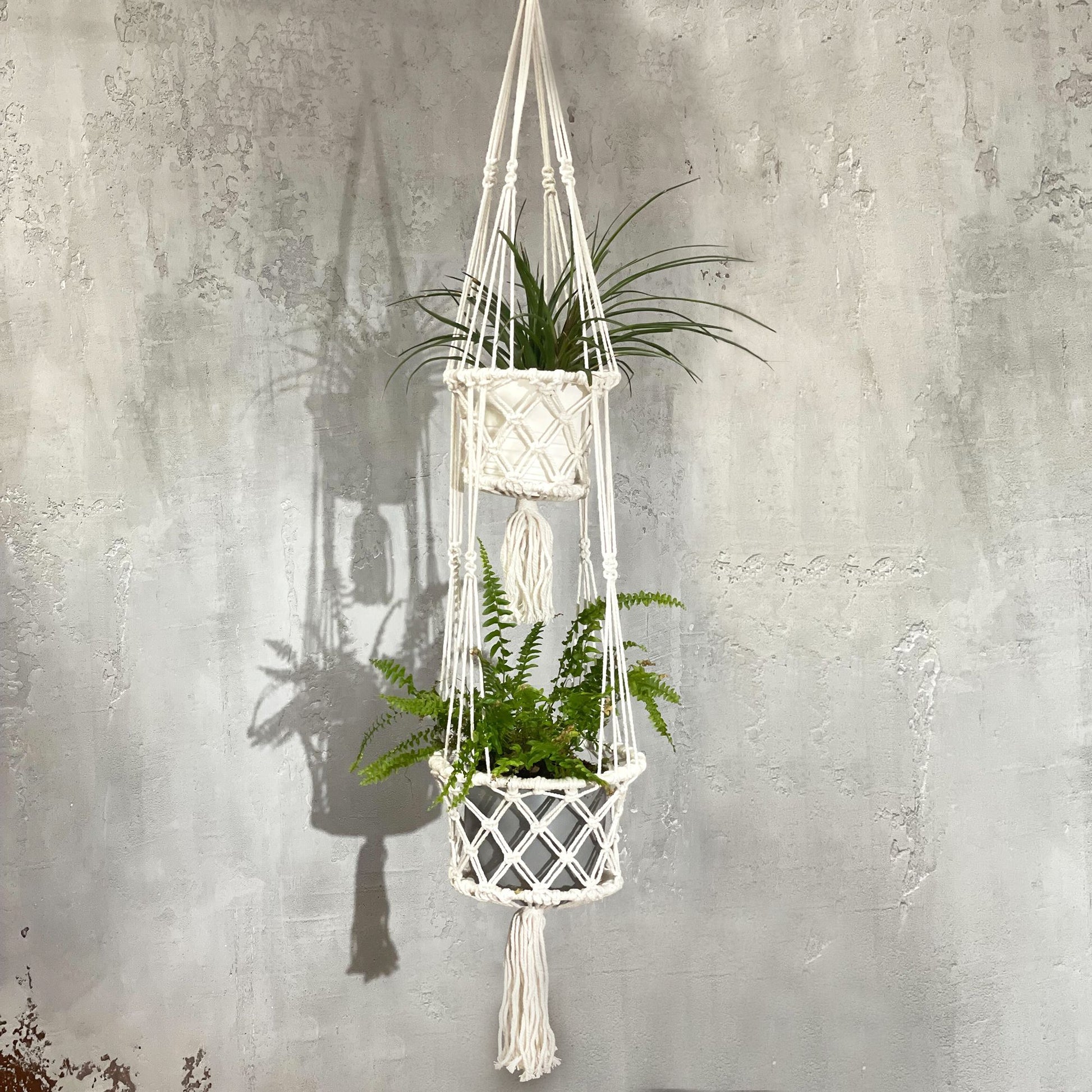Doppel-Makramee-Blumentopfhalter mit zwei Pflanzen vor einer Betonwand.