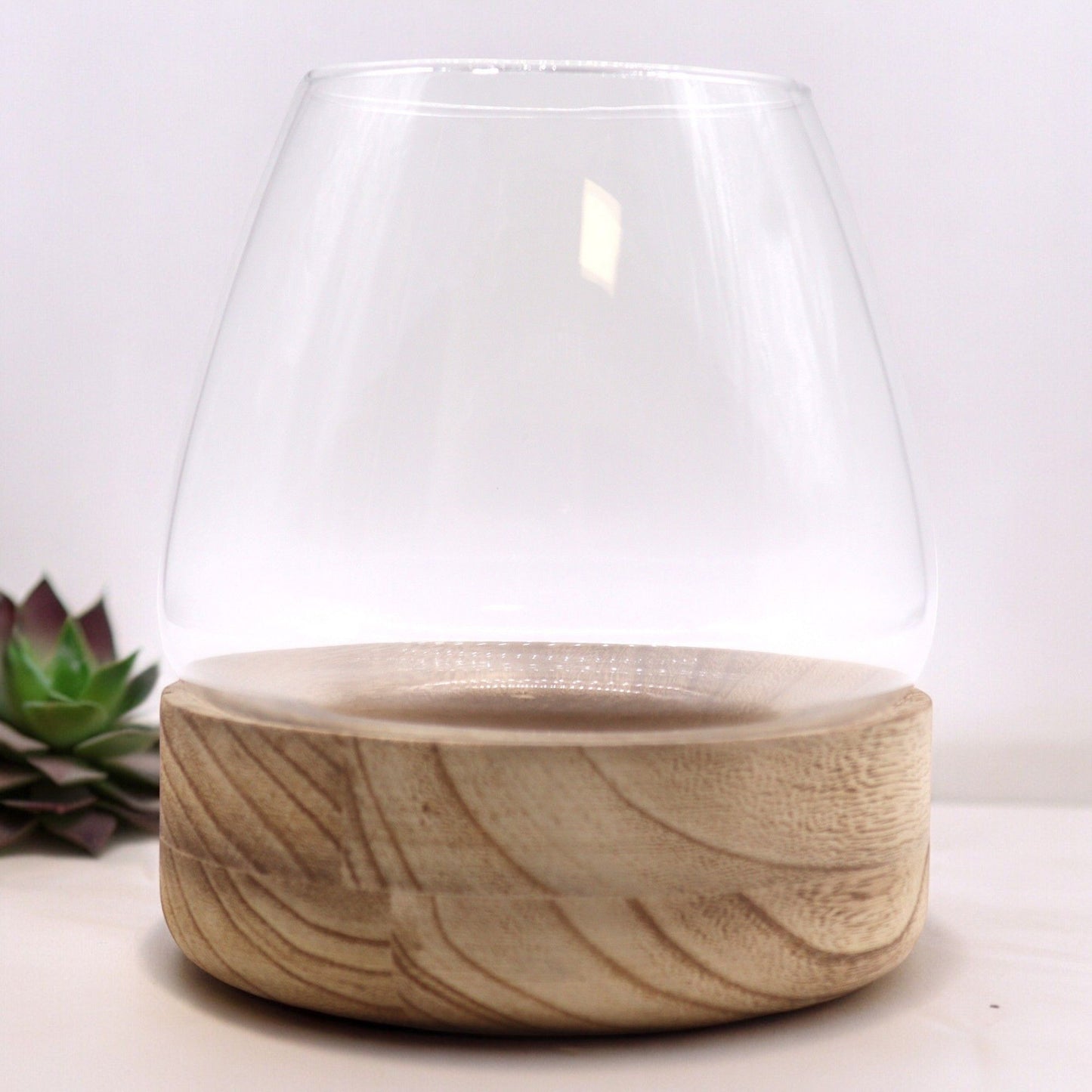 Large glass terrarium with a natural tung wood base.