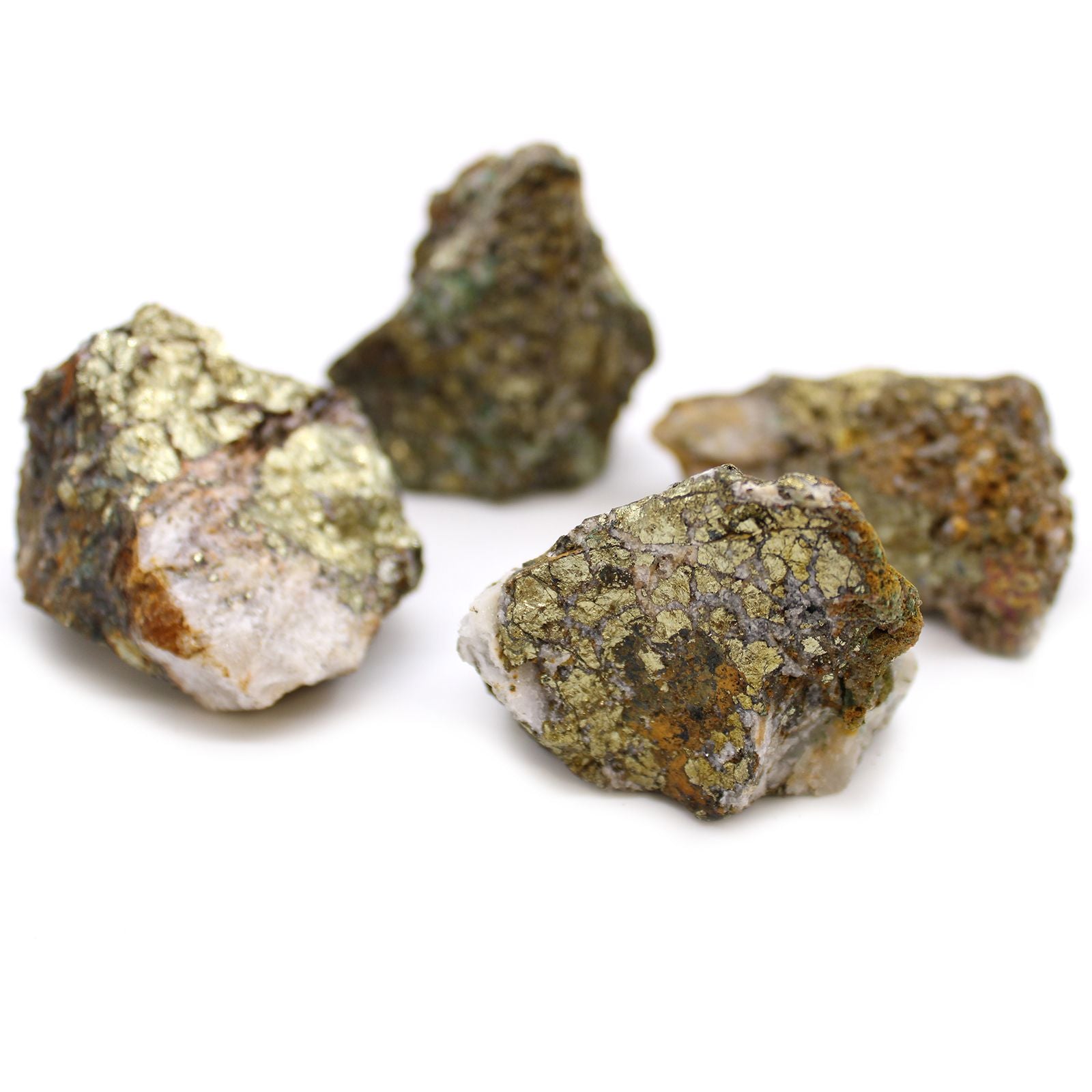 Vier rohe Chalkopyrit-Mineralien mit goldenem Glanz auf weißem Hintergrund.
