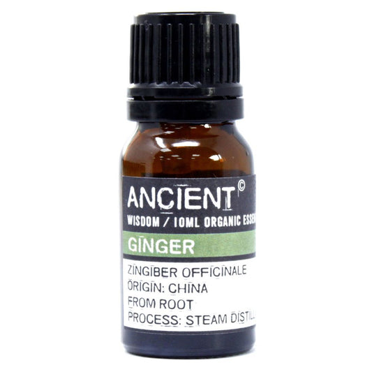 Bio Ingweröl 10ml von Ancient Wisdom, aus China.