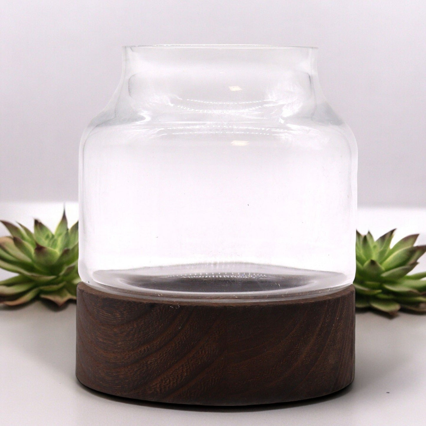 Small shaped glass terrarium on a dark tung wood base.