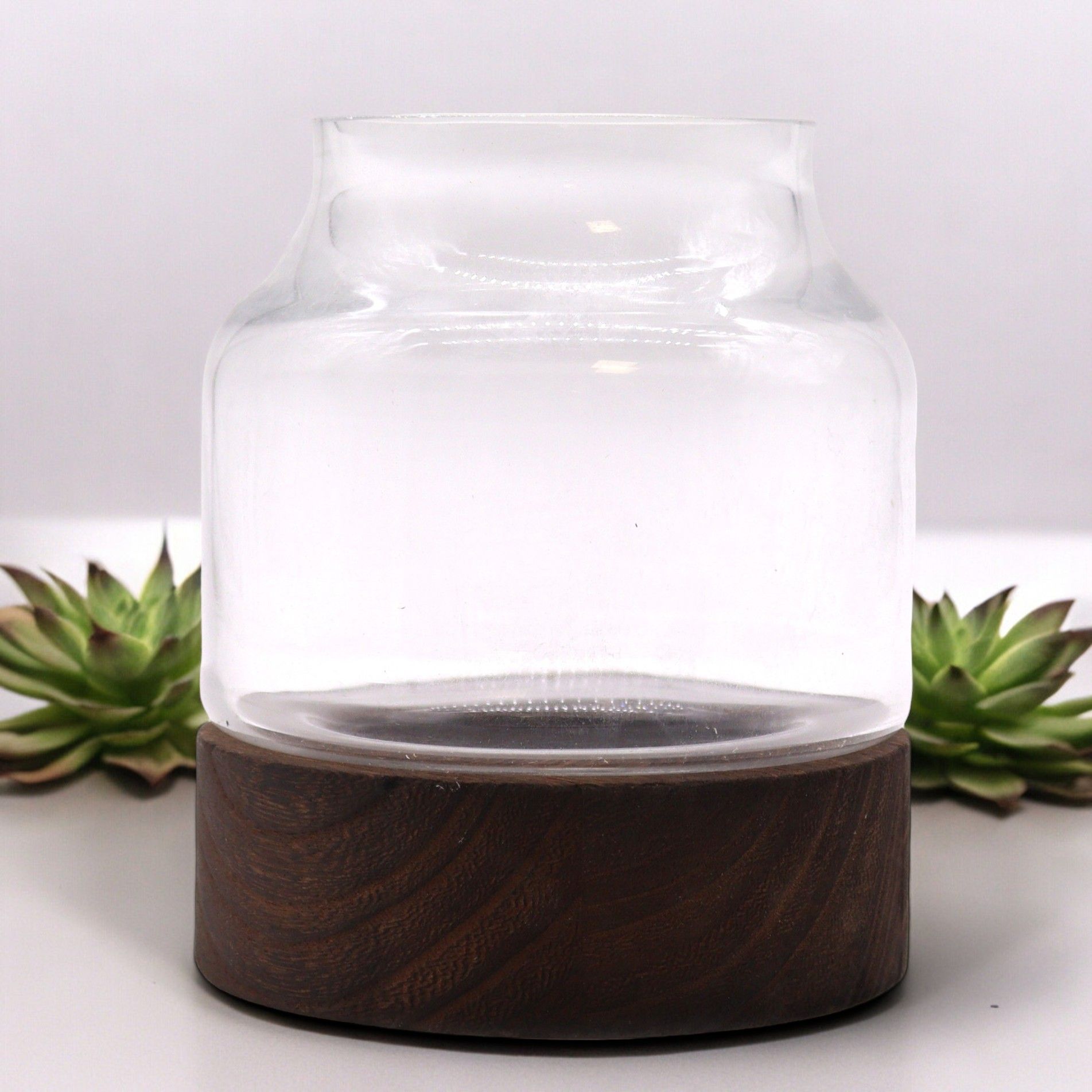 Small shaped glass terrarium on a dark tung wood base.