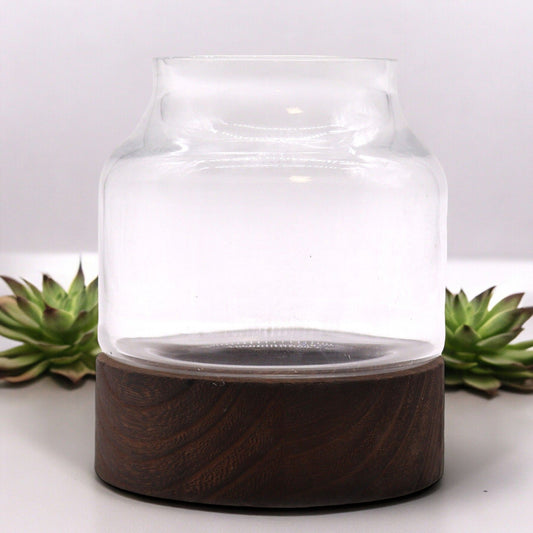 Small shaped glass terrarium on a dark tung wood base.