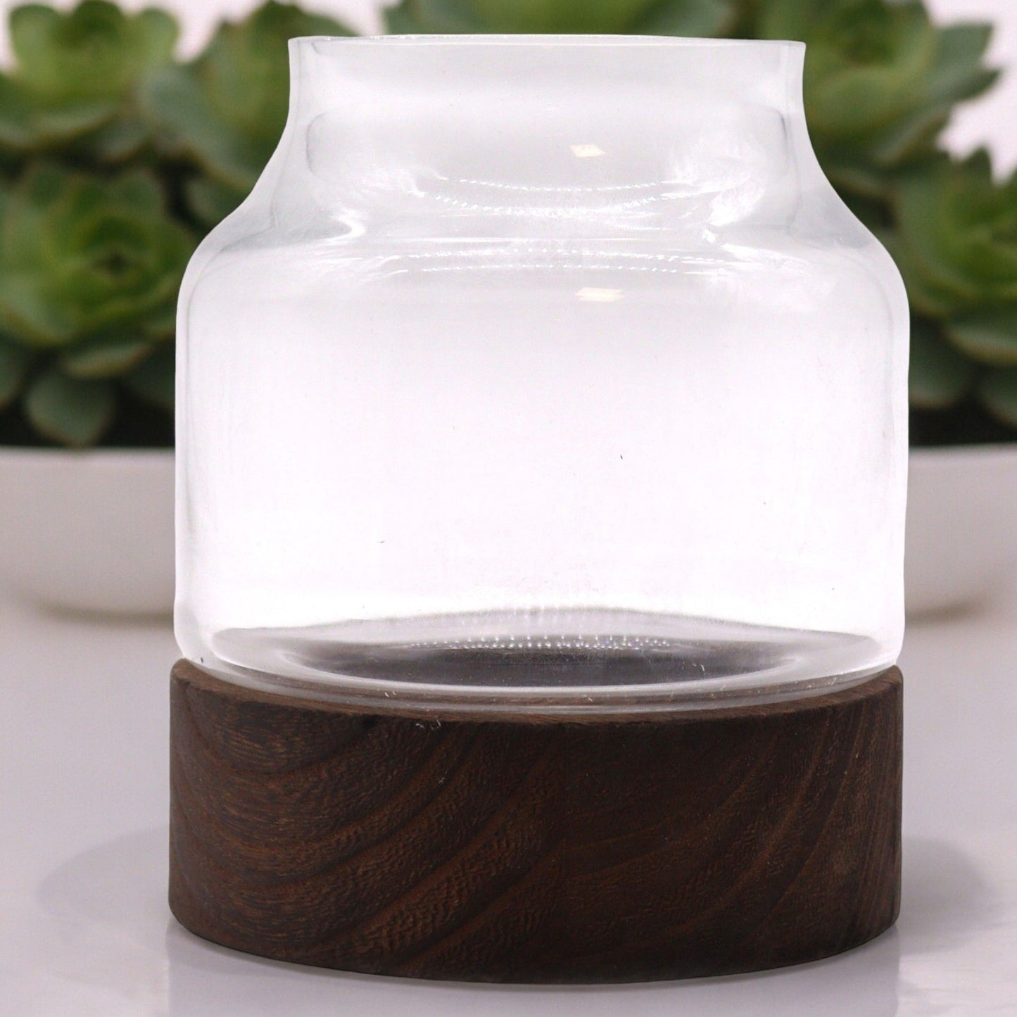 Medium shaped glass terrarium on a dark wood base.