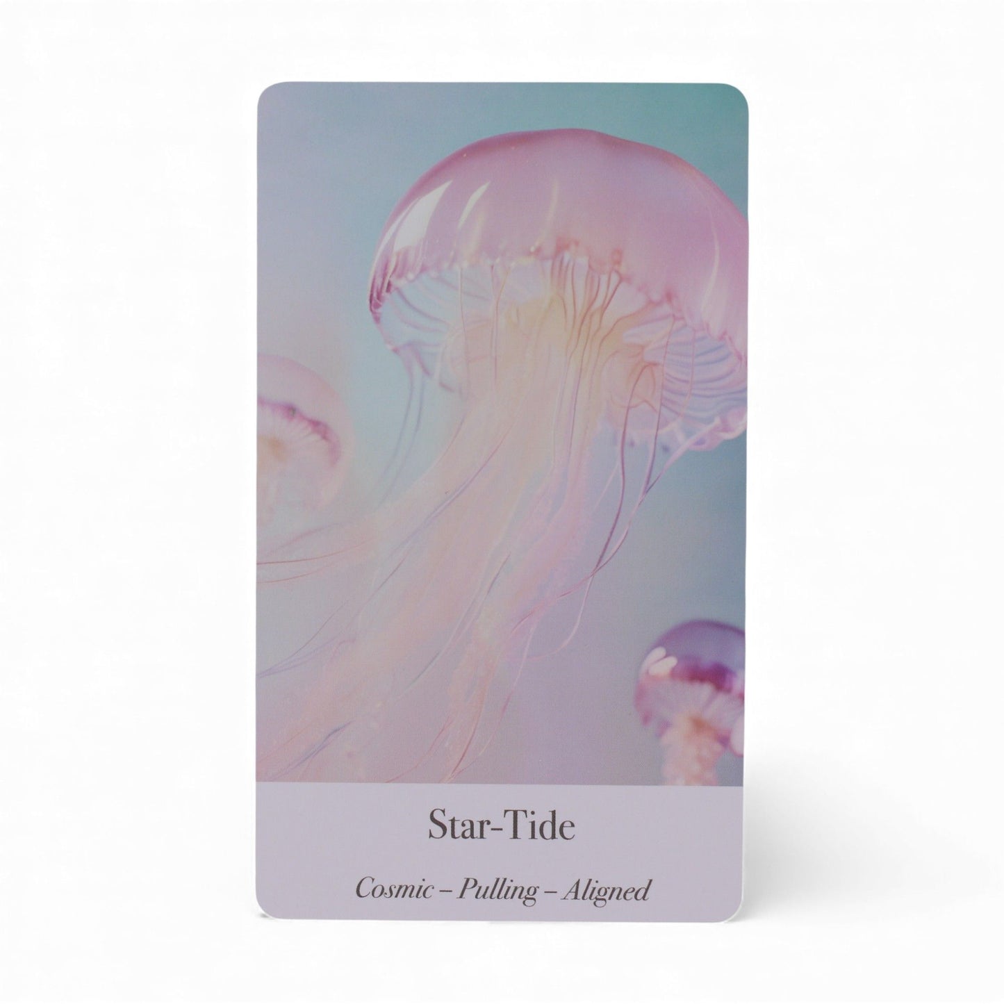 Ethereal Waters Orakelkarten mit Quallen und Text.