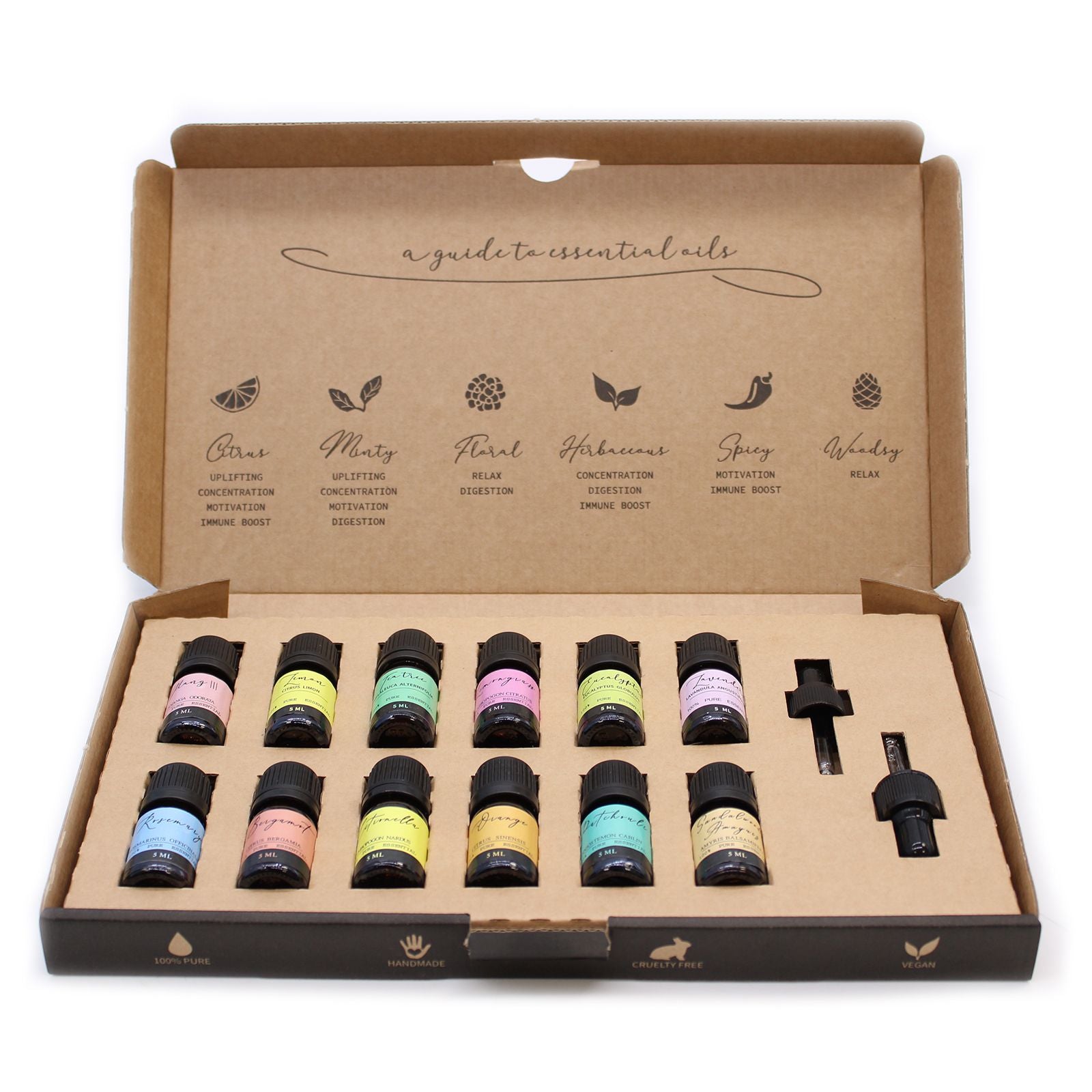 Aromatherapie ätherische Öle Set mit 12 Fläschchen und 2 Pipetten.