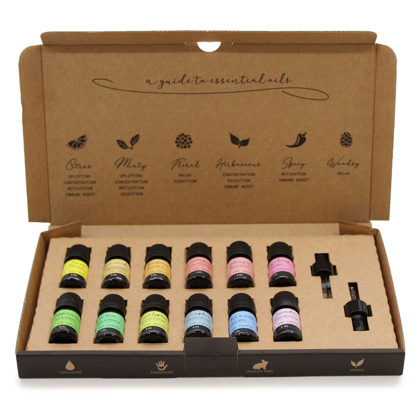 Aromatherapie ätherische Öle Starterset mit 12 Fläschchen und 2 Pipetten.
