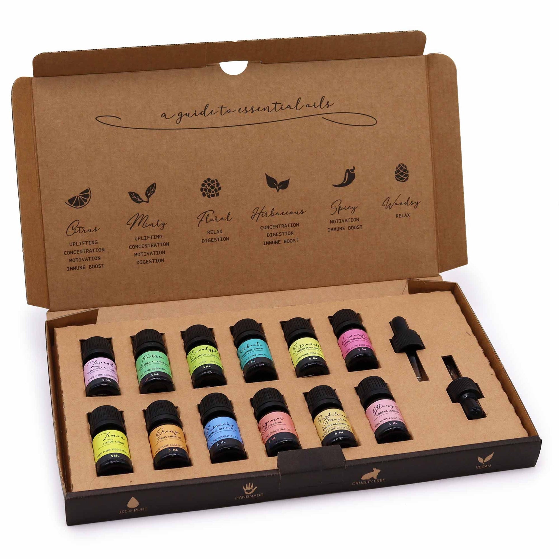 Aromatherapie ätherische Öle Set mit 12 Fläschchen und Pipetten.