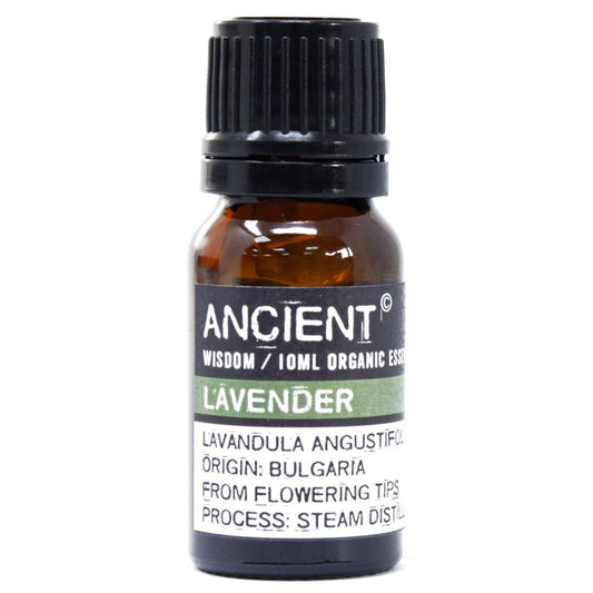 Ancient Wisdom Bio Lavendel Öl 10ml aus Bulgarien.
