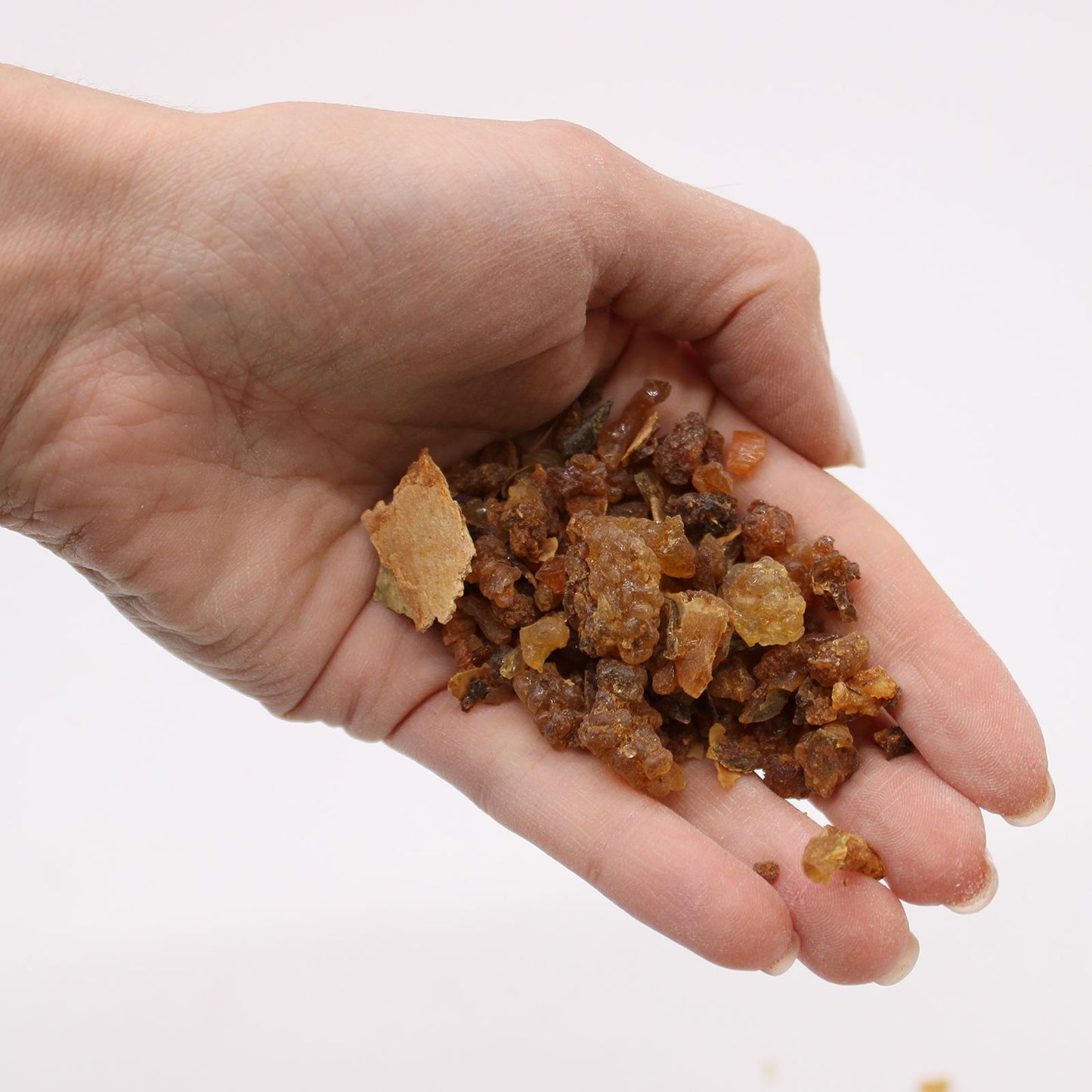 Eine Hand hält eine Portion Myrrhe-Harzstücke.