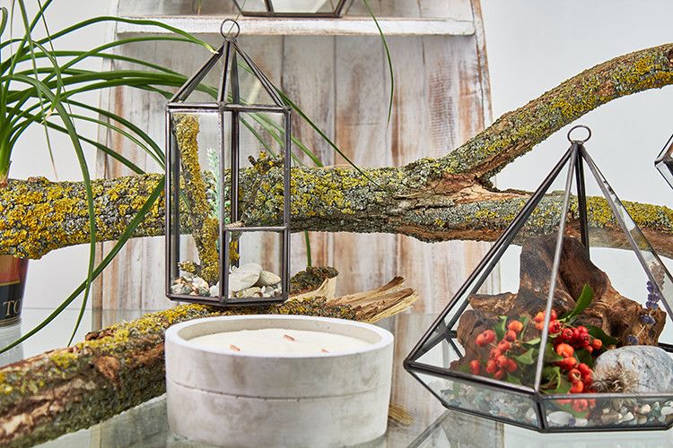 Large glass octagon terrarium with natural elements.