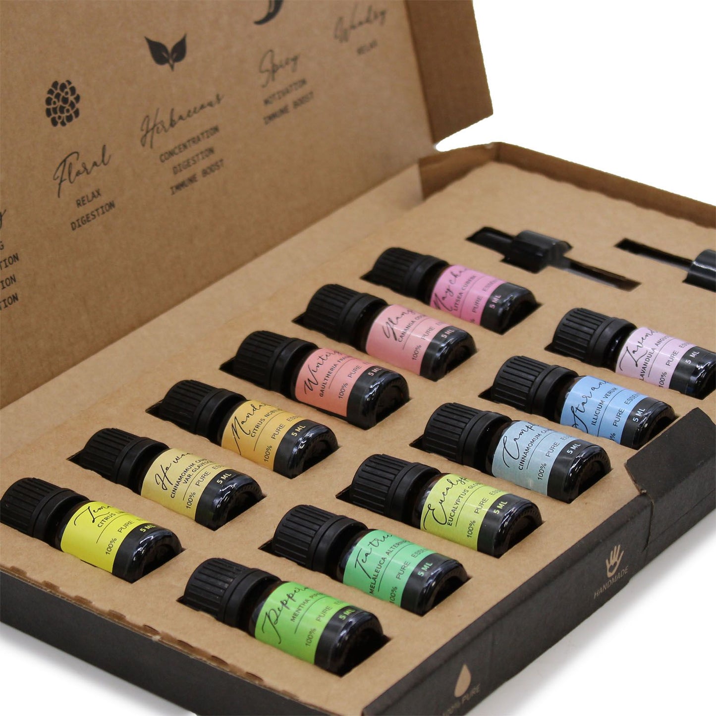 Aromatherapie ätherische Öle Starterset mit 12 x 5 ml Flaschen und 2 Pipetten.