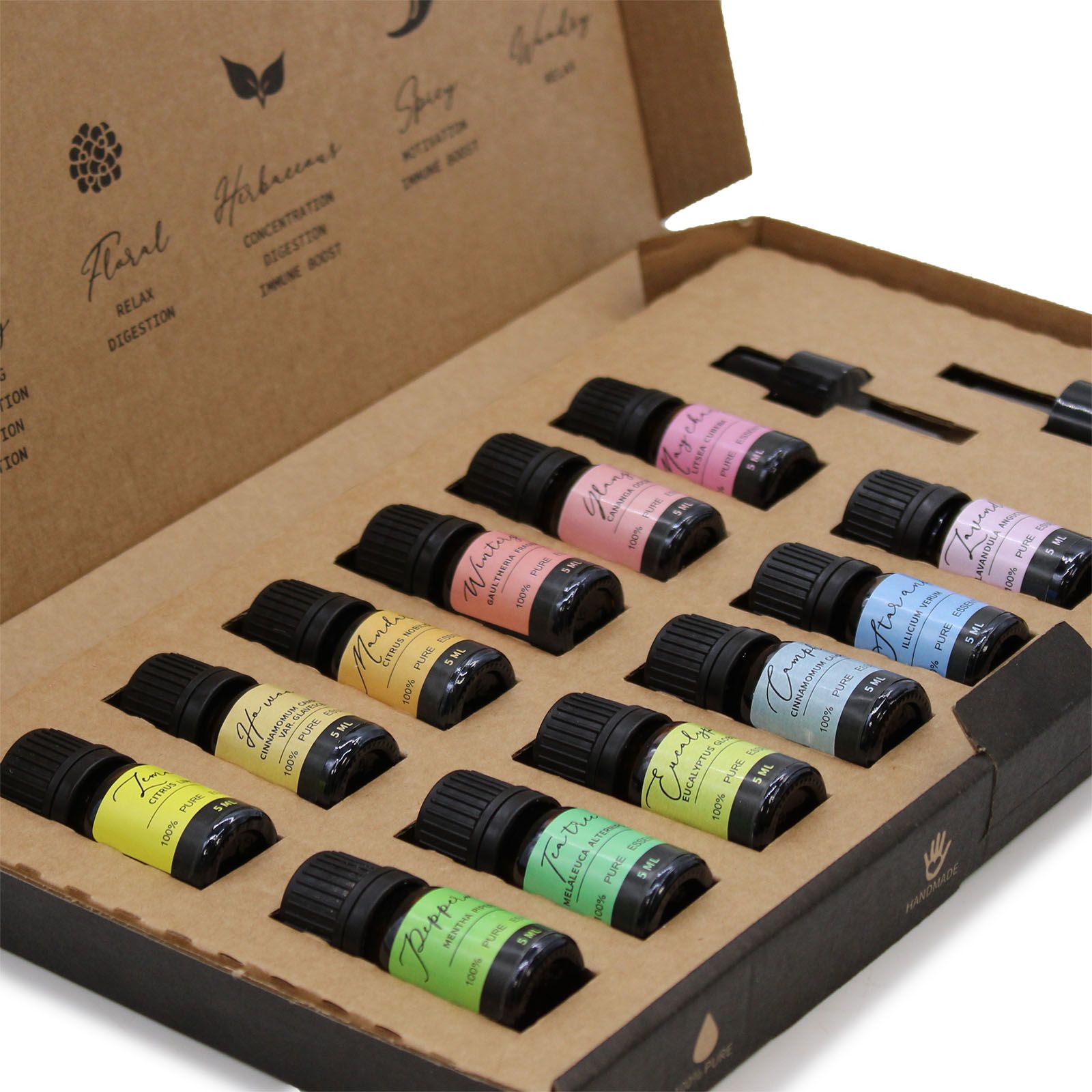 Aromatherapie ätherische Öle Starterset mit 12 x 5 ml Flaschen und 2 Pipetten.