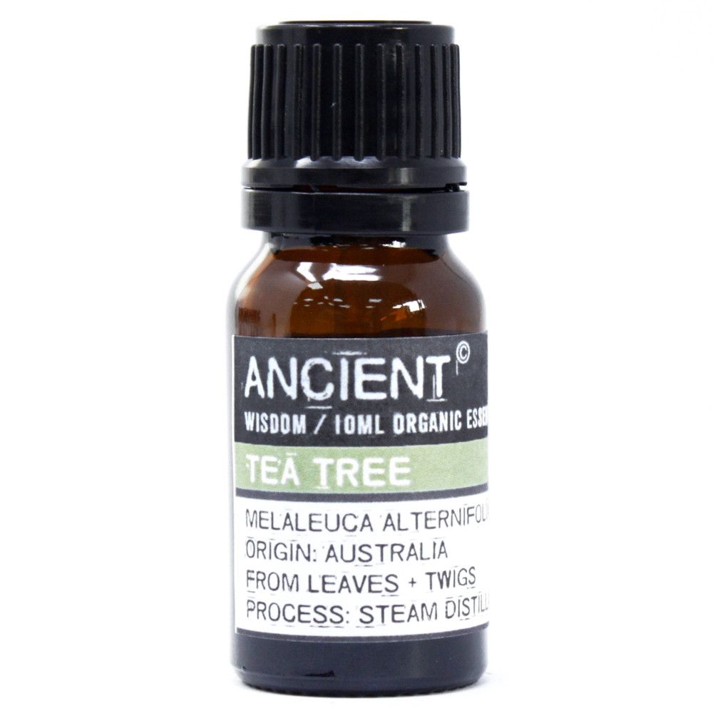 Eine 10ml Flasche Bio Teebaumöl von Ancient Wisdom.