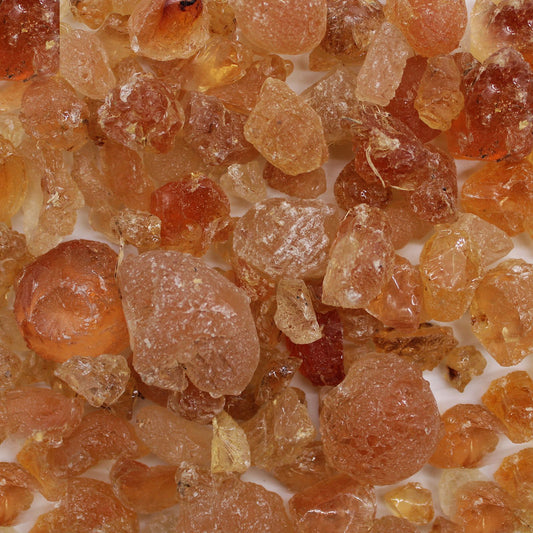 Gummi arabicum in amber and reddish-brown irregular chunks.