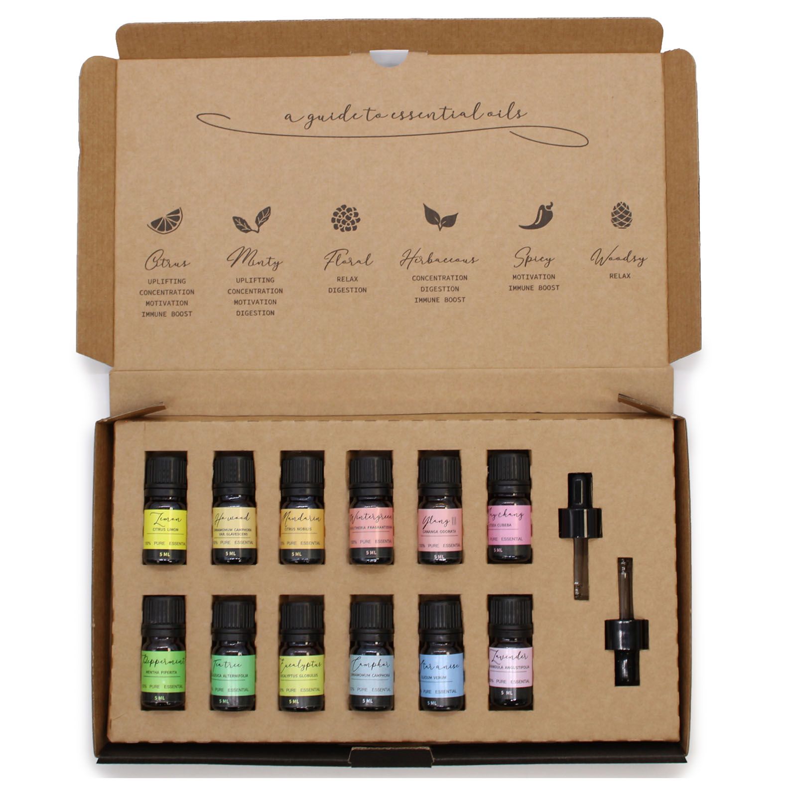 Aromatherapie-Set mit 12 ätherischen Ölen und 2 Pipetten.