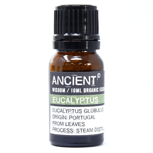 Ancient Wisdom Eucalyptus essential oil in a 10ml amber glass bottle.