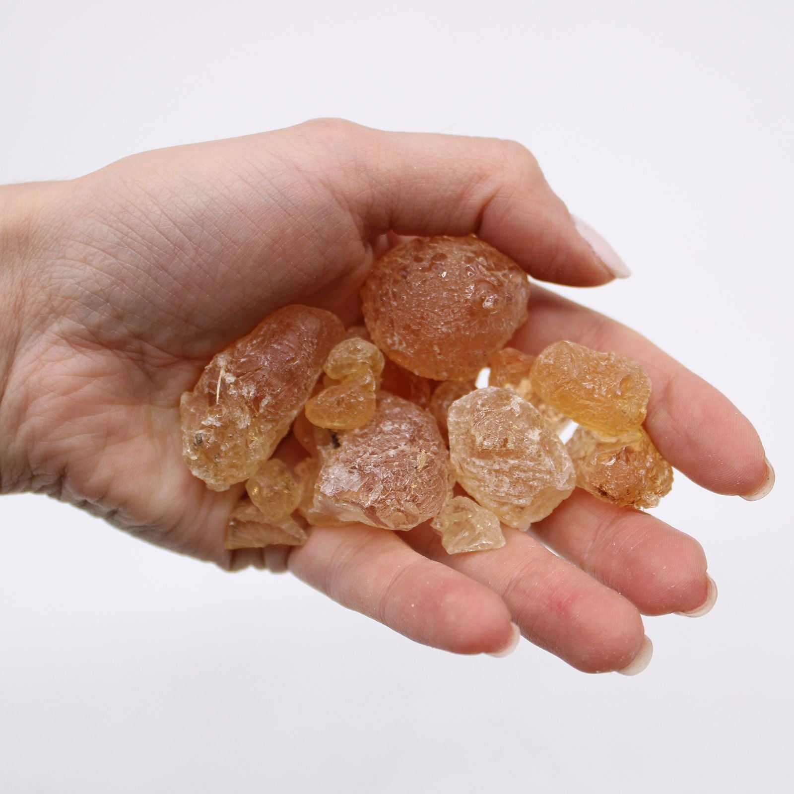 Hand hält eine Gruppe von bernsteinfarbenen Gummi arabicum Harzstücken.