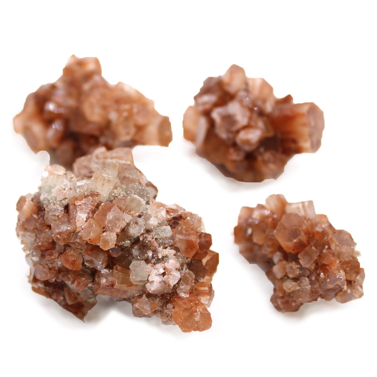 Vier rohe, rot-orangefarbene Aragonitkristallcluster, auch bekannt als Eisenblume.