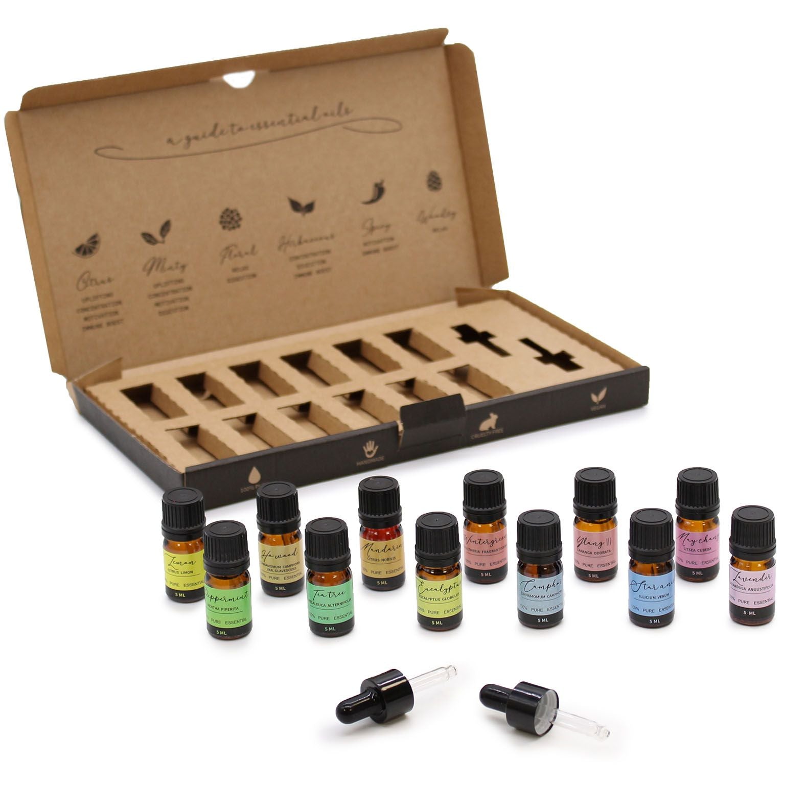 Aromatherapie ätherische Öle Starterset mit 12 x 5 ml Flaschen und 2 Pipetten.