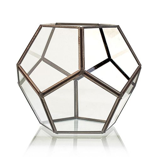 Large glass octagon terrarium with a metal frame.