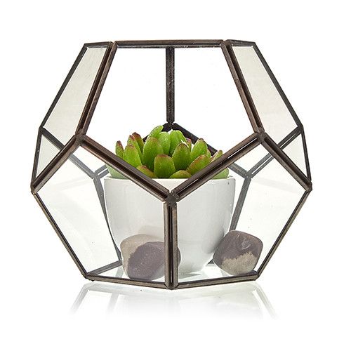 Large glass octagon terrarium with a succulent plant.