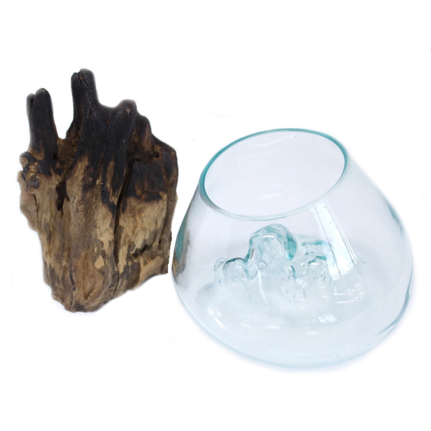 Große mundgeblasene Glasschale auf Wurzelholz mit natürlichen Blasen.