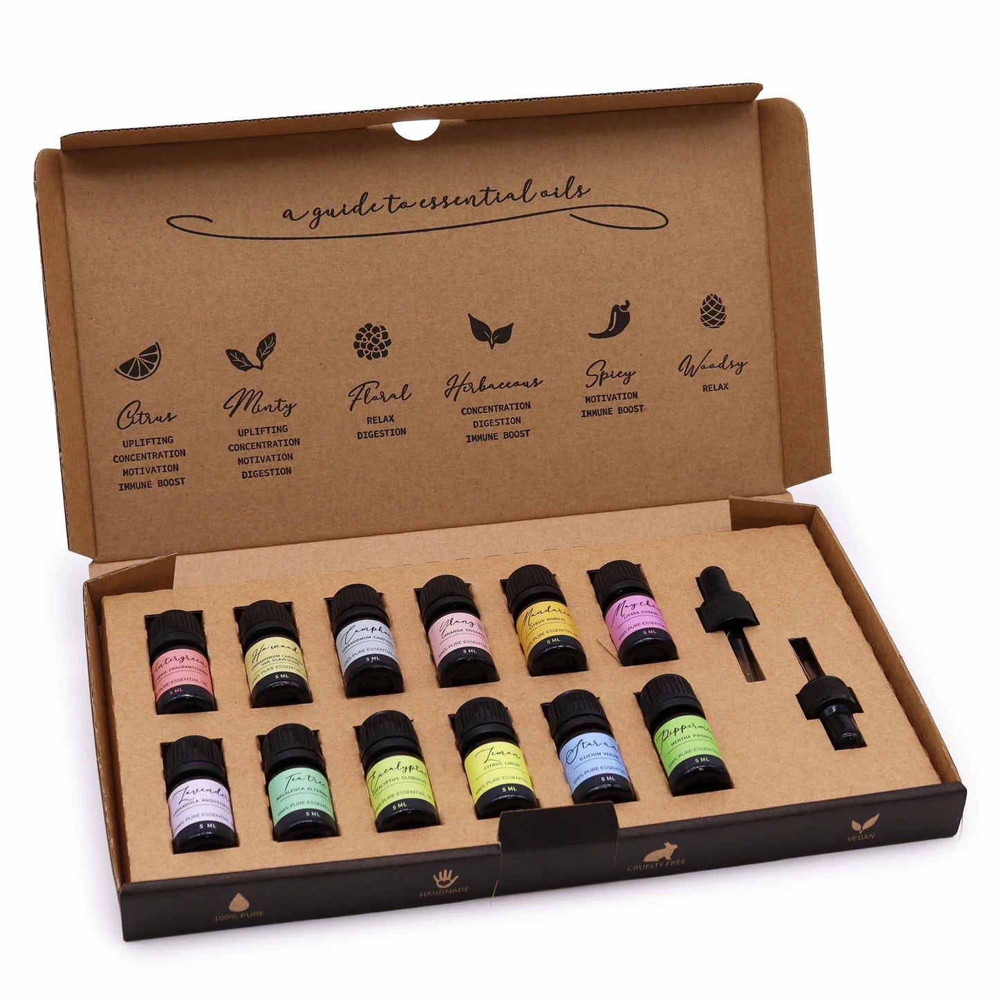 Aromatherapie ätherische Öle Starterset mit 12 × 5 ml Ölen und 2 Pipetten.