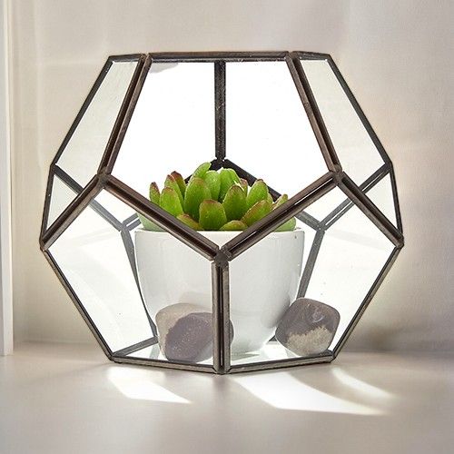 Large glass octagon terrarium with a succulent plant and stones.
