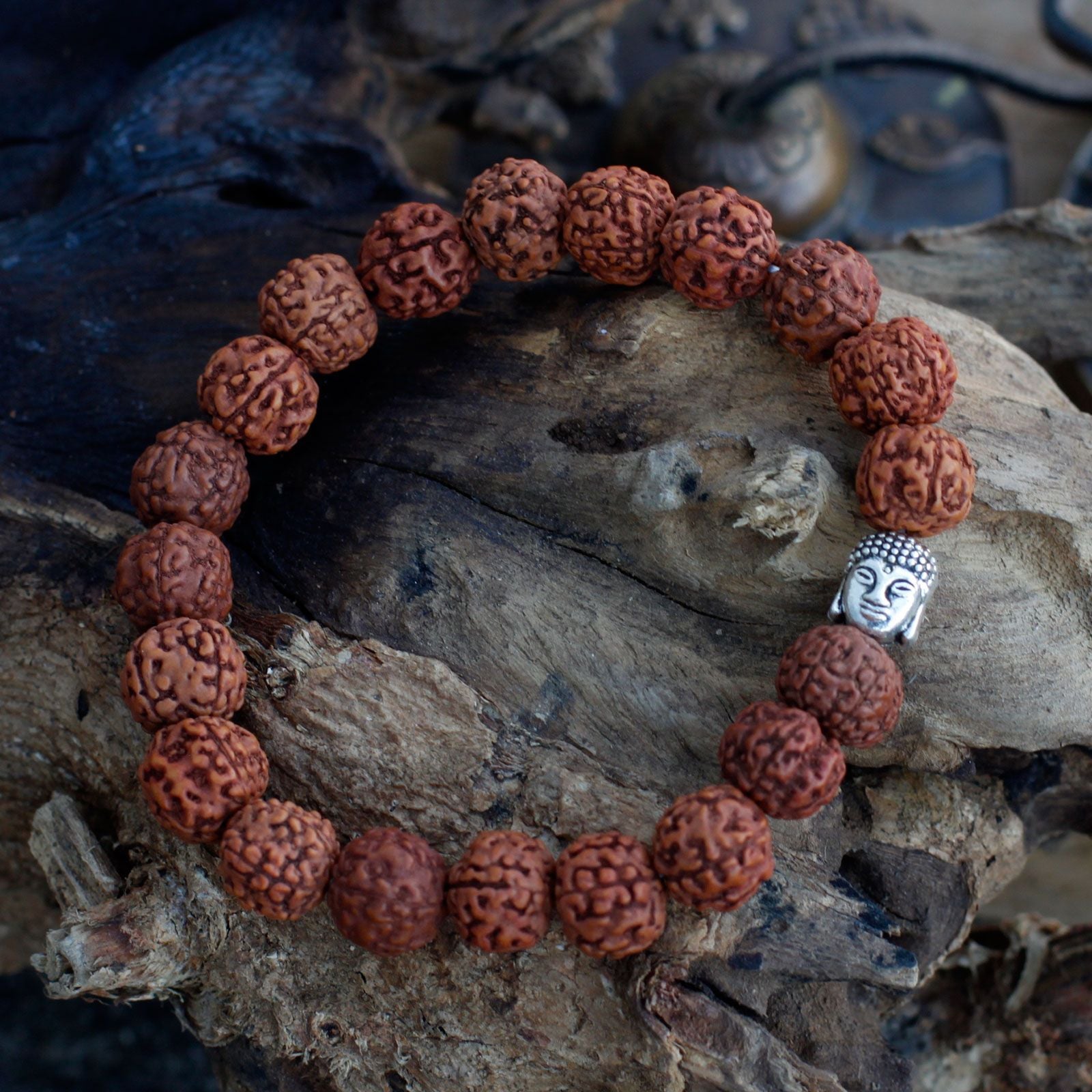 Brown Rudraksha beads with a silver Buddha charm form a bracelet on wood.