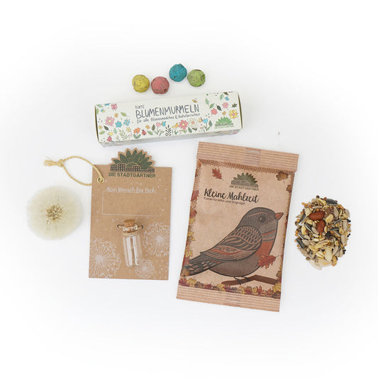 3er Set für deinen Adventskalender