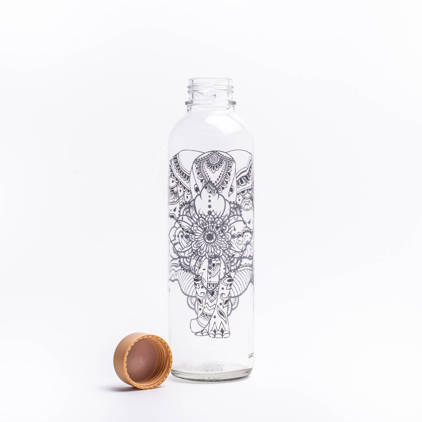 glastrinkflasche-carry-294671 - Flow of Passion