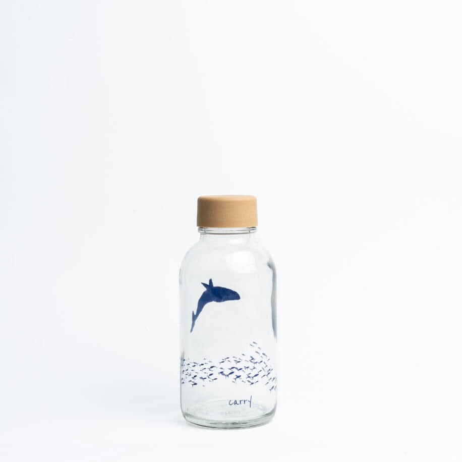 glastrinkflasche-carry-688661 - Flow of Passion