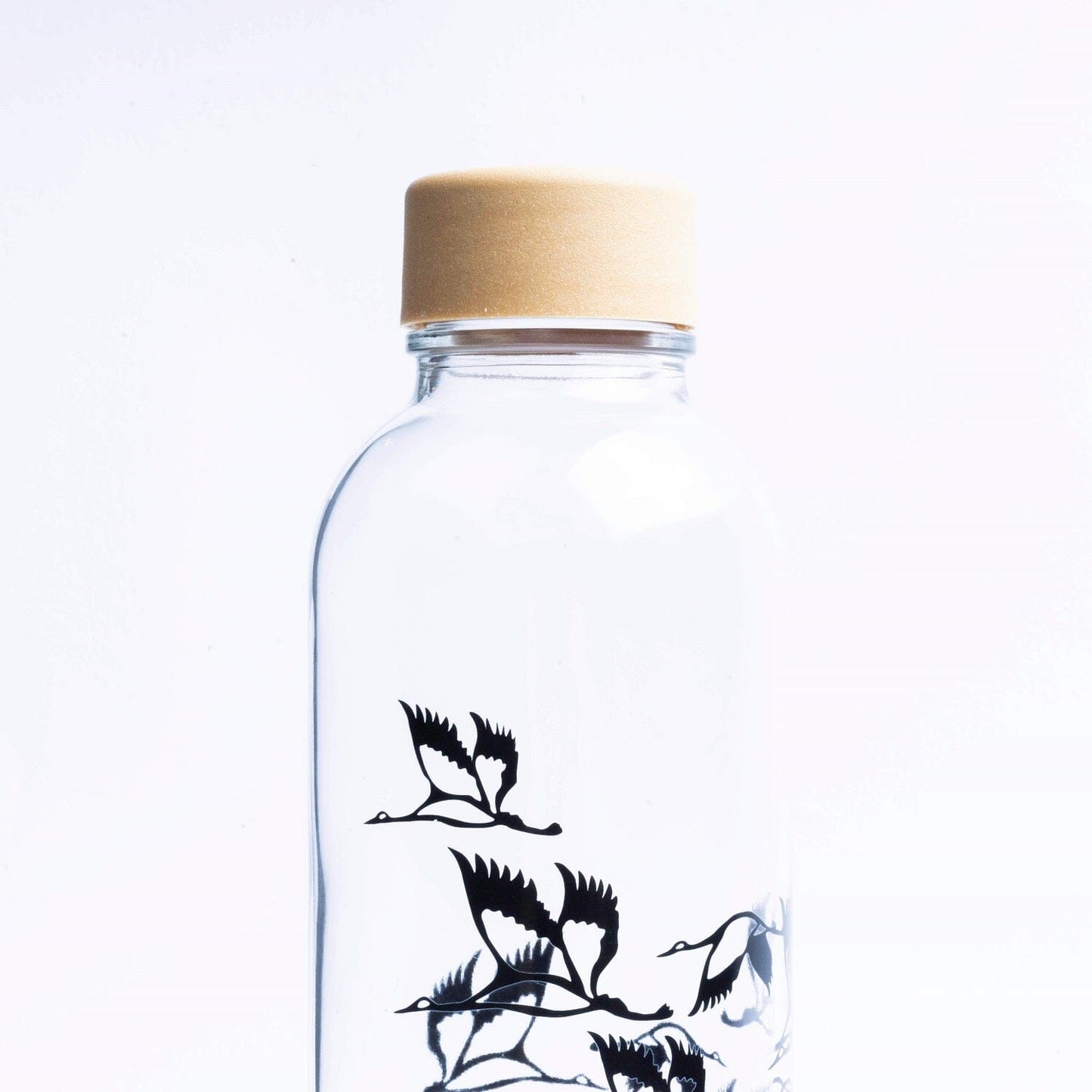 glastrinkflasche-carry-911947 - Flow of Passion