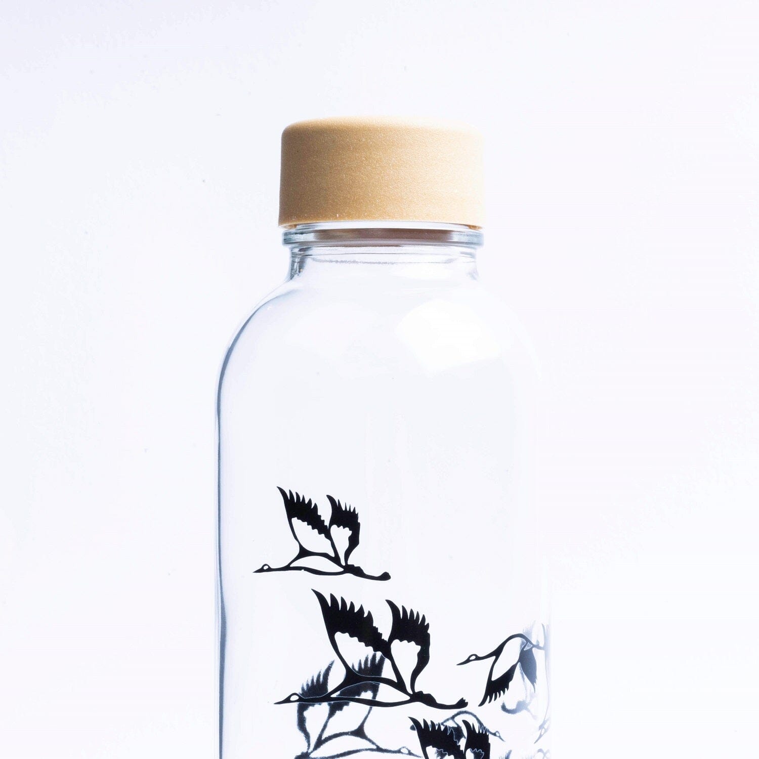 glastrinkflasche-carry-911947 - Flow of Passion