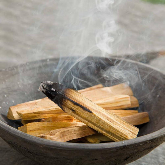Palo Santo 100g (10 - 15Stück) - Flow of Passion