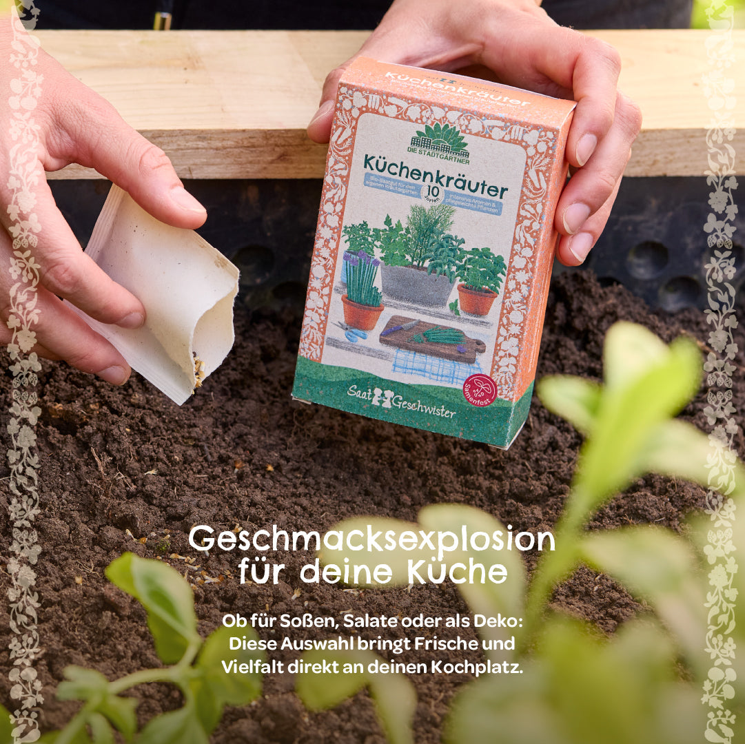 BIO-Saatgut-Set "Küchenkräuter"