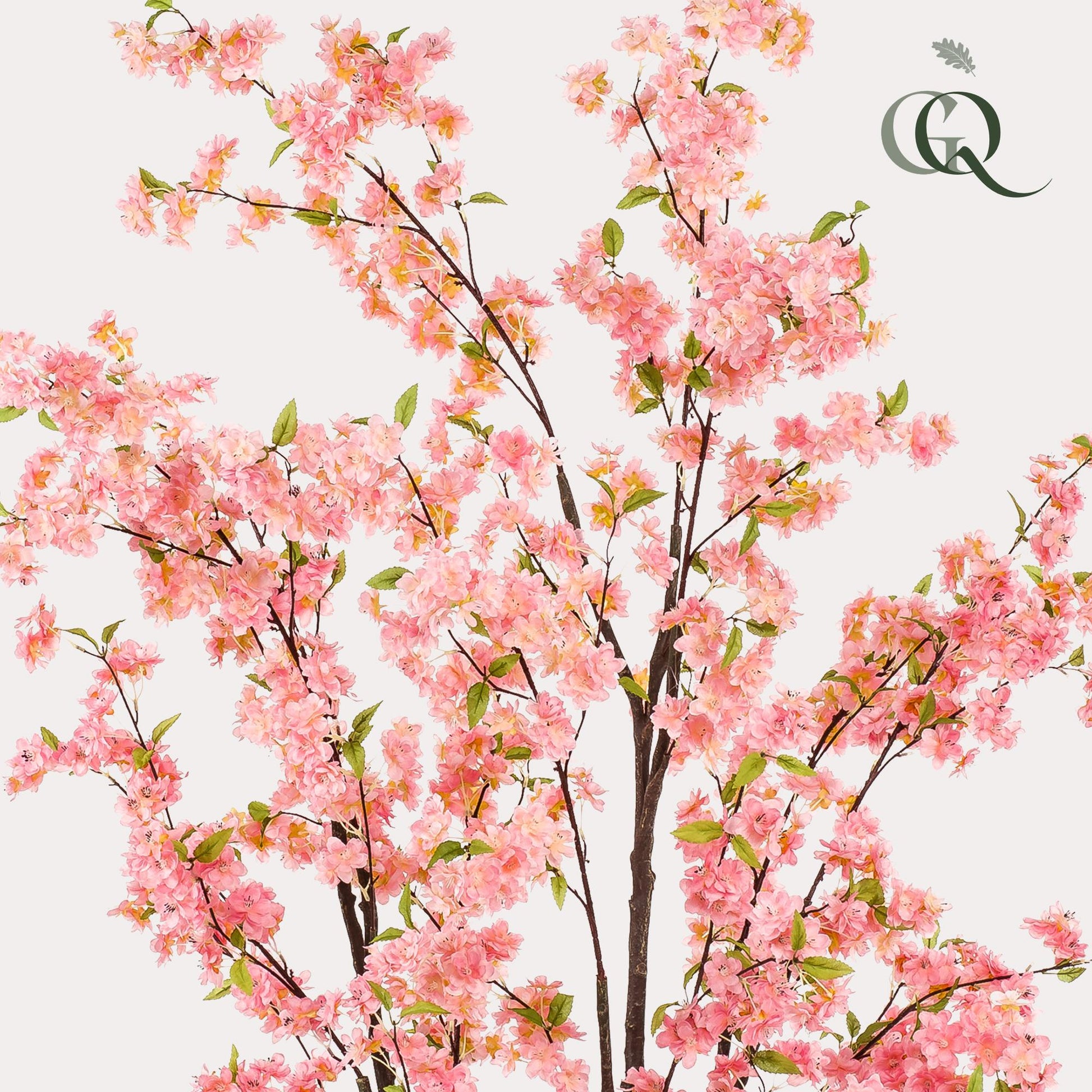 thumbnail_2000_7a6d477e-2f14-489d-b624-c8da4166690a - Flow of Passion