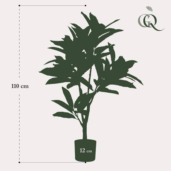 thumbnail_600_0bc8342b-db49-4daf-8be6-6fcaef7a10bf - Flow of Passion