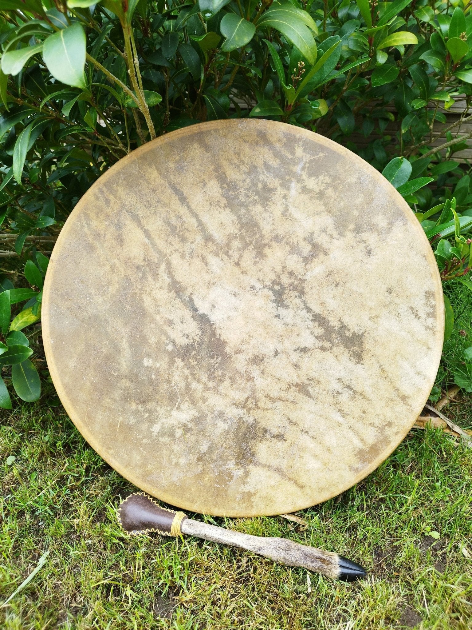 XL Stimmbare Schamanische Trommel mit Stimmperlen aus Achat, Rinderhaut und Esche 50cm - Flow of Passion